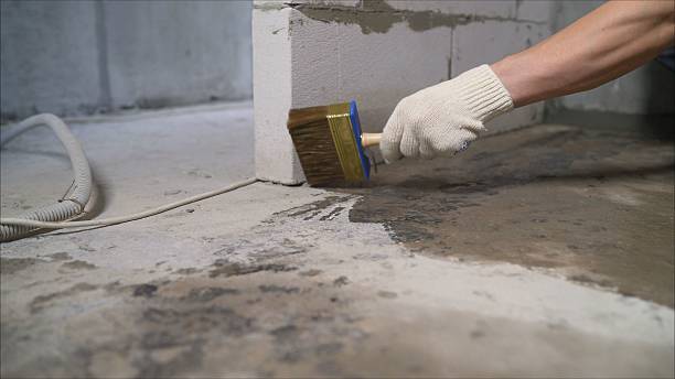 SJ Waterproofing Pros Crawl Space Encapsulation coverage map for Rockford, MN and surrounding area